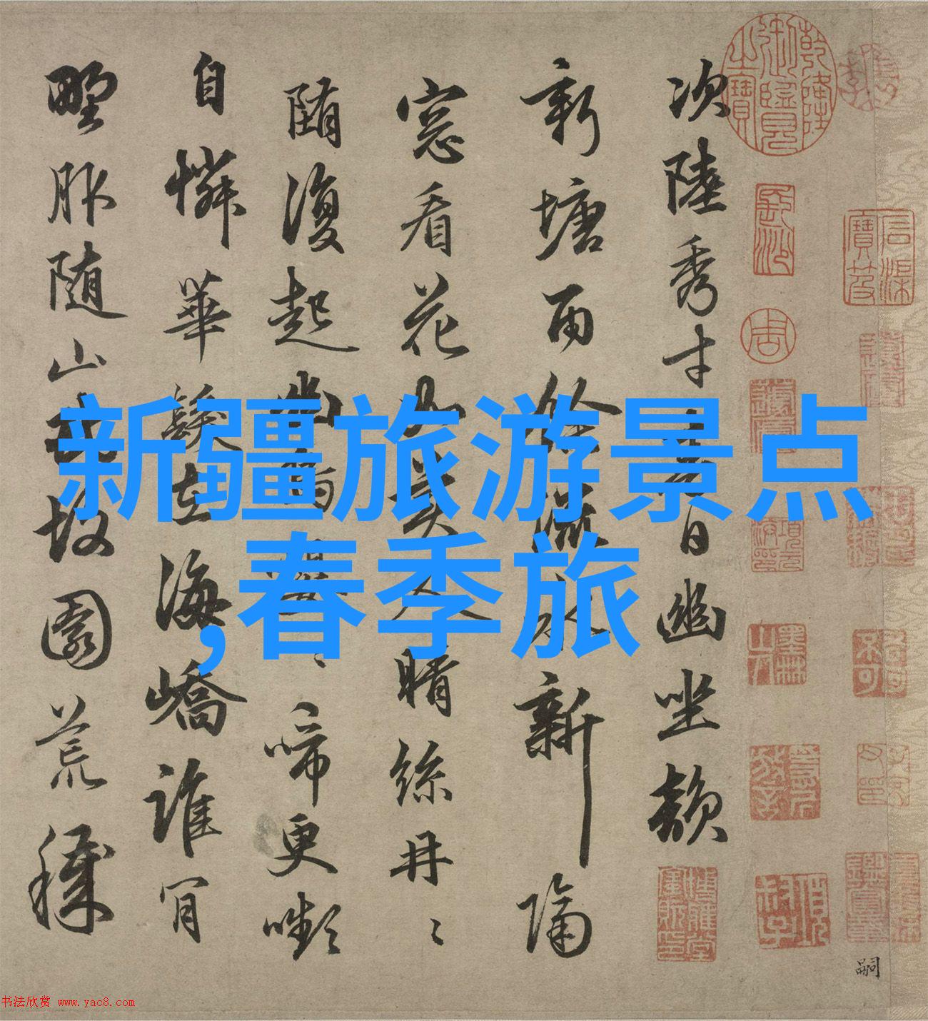 现场互动大师探索适合现场的最具吸引力的游戏体验