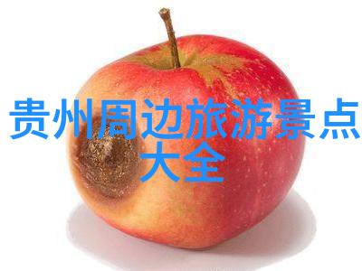 安全第一新手应对突发事件的策略分享