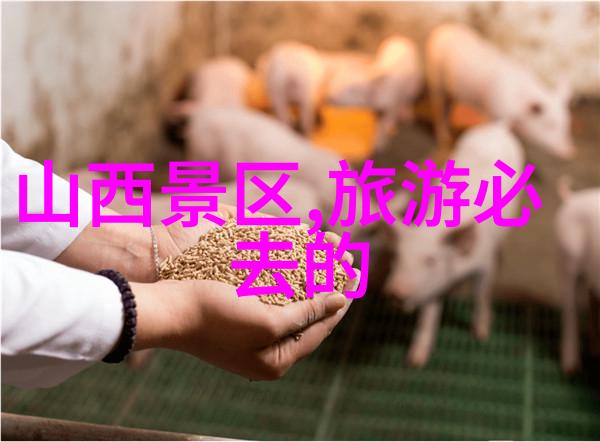 南昌之星摩天轮于5月28日起日场暂停开放