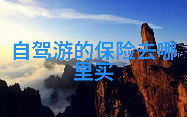 云南之谜揭秘大熊猫的隐秘栖息地