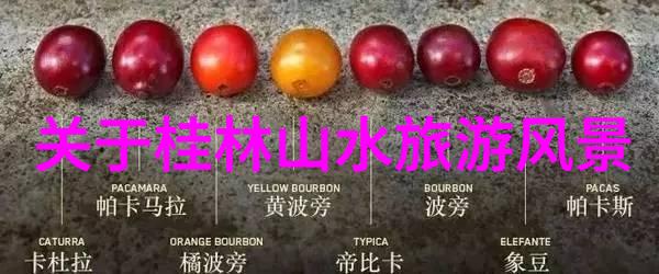 秋日寻宠探索中国南方热带风情之旅成都昆明的丰收节庆活动