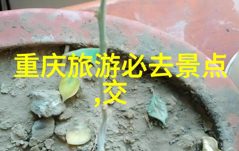 长沙旅游必去景点攻略揭秘美食历史与自然之都的魅力