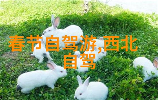 旅游新闻最新亲眼见证这次我带你去探险最火的自然奇观