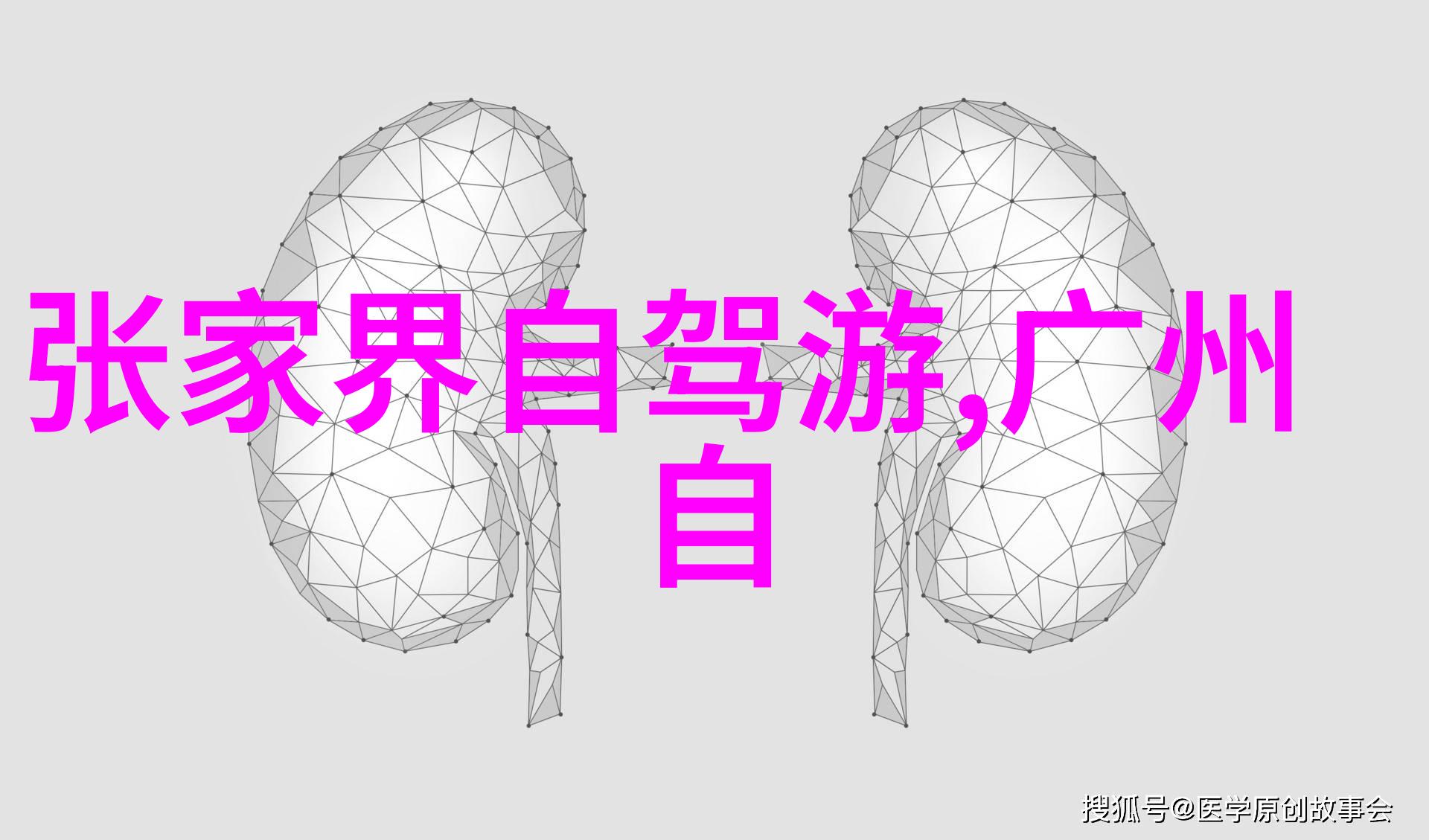 新疆自驾游经典线路探索丝绸之路的秘密