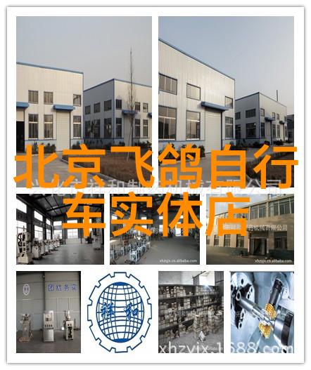 户外100种游戏你最想尝试哪一项