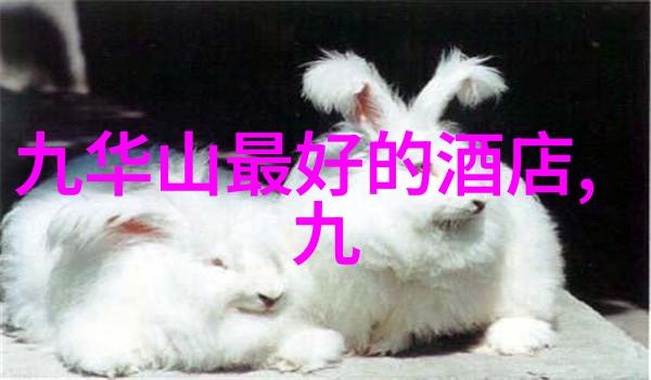 聚焦团队精神探索适合50至60人集体活动的秘密之谜