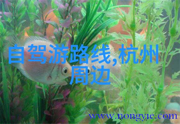 唐山美食盛宴探索唐山市区的特色小吃