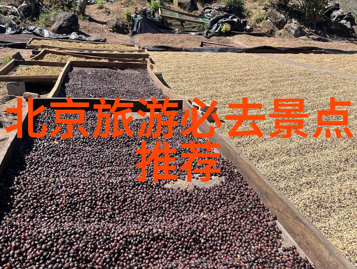 探索世界奇迹马蜂窝带你飞翔全球旅行推荐与攻略分享