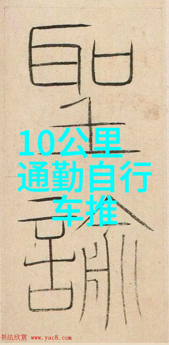 每日骑行40分钟健康双轮之旅