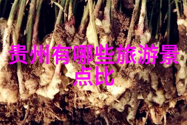 土家吊脚楼