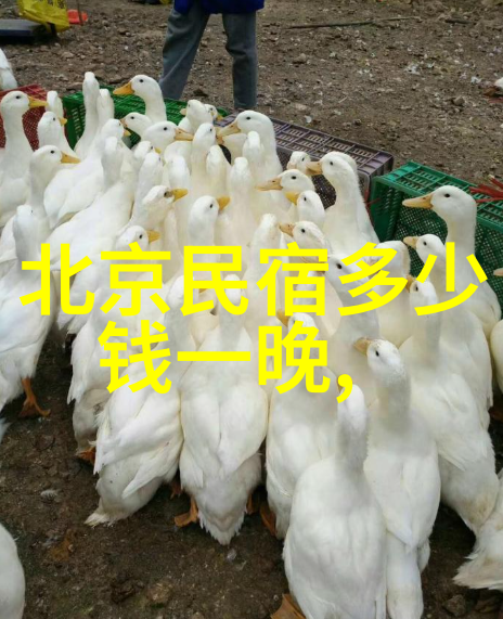 安全第一了解并准备应对不同地区可能遇到的旅行风险