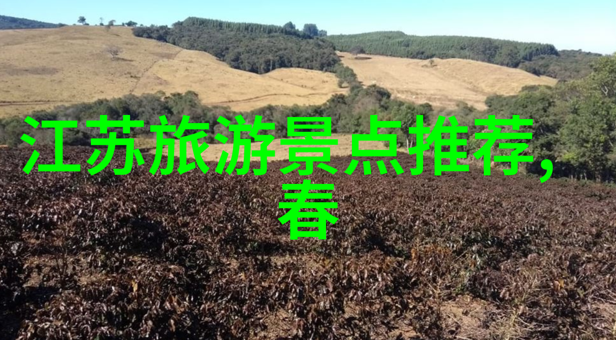 未知旅途携程网页版的神秘之谜