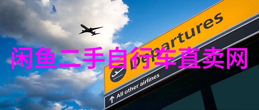 电助力旅行自行车-风驰电动探索电助力旅行自行车的未来
