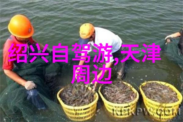 探索洛阳99联票之旅途牛旅游官网app下载尽在掌握