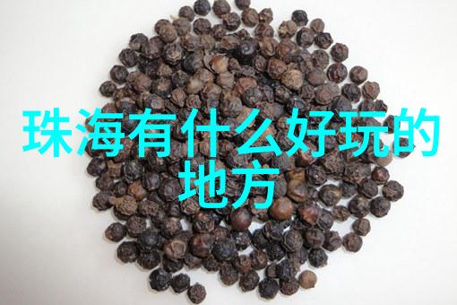 探索浙江美丽一日沿海公路的风景与故事