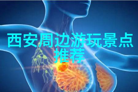 探秘中国揭秘云南石林的奇幻地貌