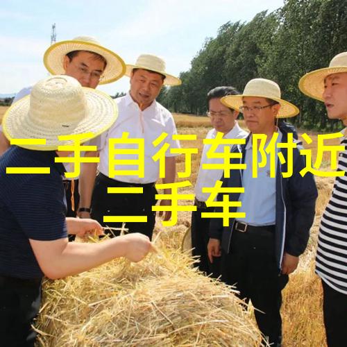 贵州最值得去的7个景点 - 贵州探秘云雾缭绕的自然奇观与深厚的文化底蕴
