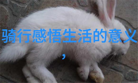 探索西湖美景杭州十大不容错过的旅游胜地