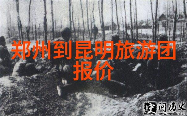 九阴冥棺全书总结揭秘古老武学的深邃之谜