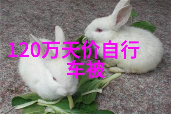 世界各国旅游胜地-探索全球奇迹世界各国旅游胜地的精选指南