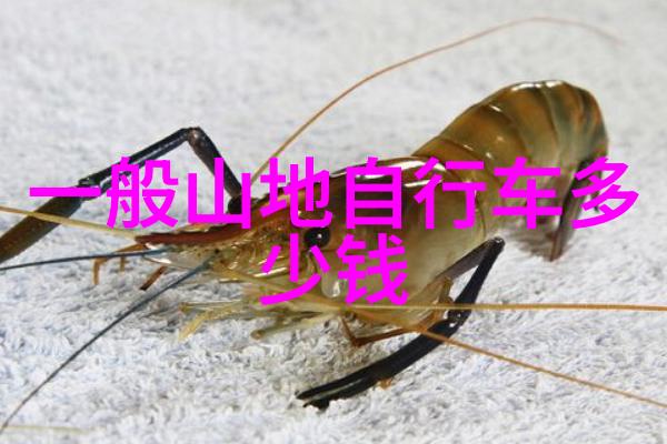 云南美景绘卷翠峦秀水间的诗意寻踪