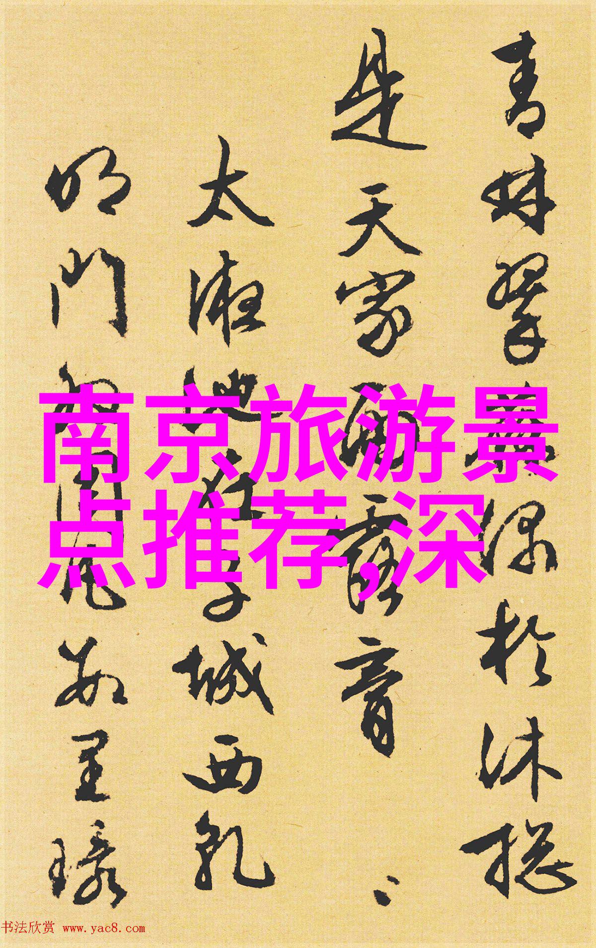 探索自然的乐趣中班幼儿园户外100种游戏启航