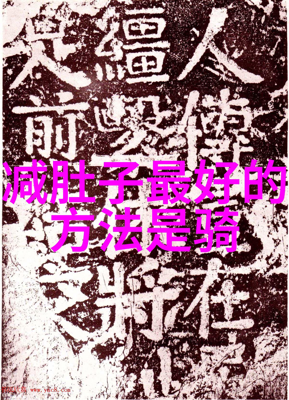 西双版纳必去景点探秘热带雨林的自然奇迹