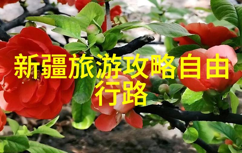探秘古城风情行