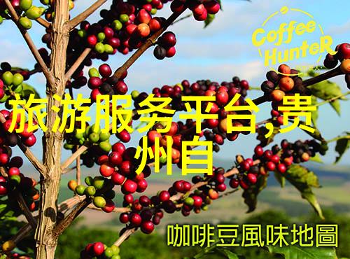 绿茵绿草探索无限的幼儿园户外游戏乐趣