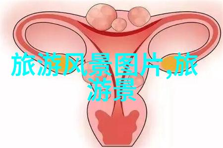 厦门美食自驾游探索厦门美味与自然风光的自驾之旅
