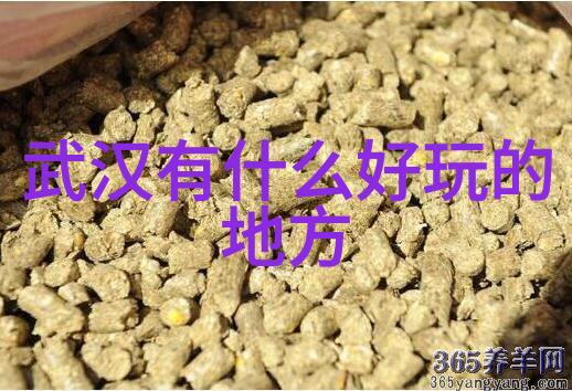 什么是北京小吃中的经典之选