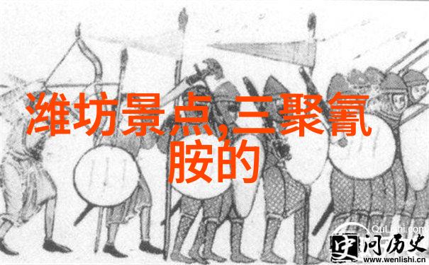 舟山海滩上的自由翱翔一个关于生活的小憩篇