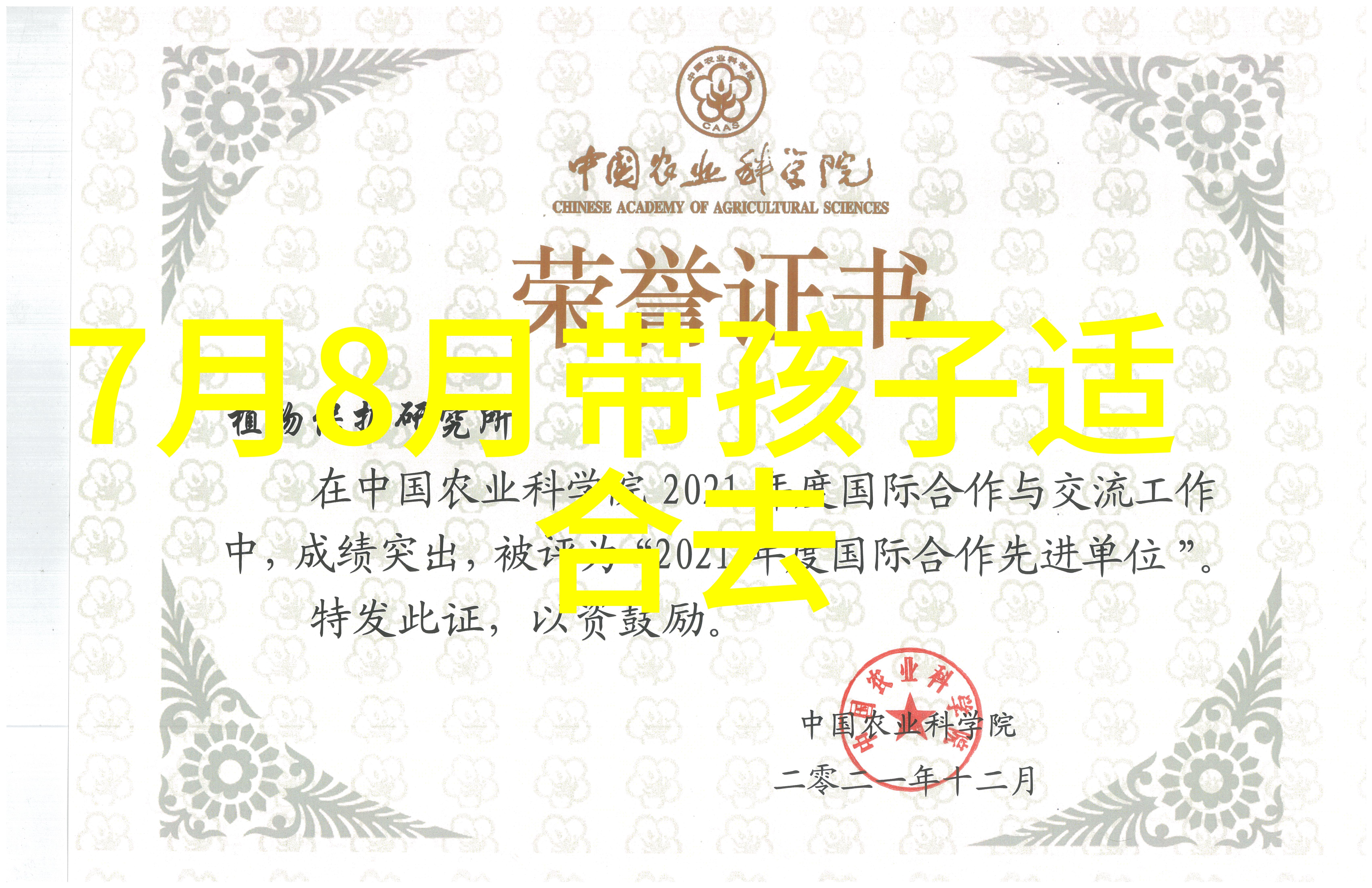 中国旅行社的精选旅游线路探索中华大地的奇迹与魅力