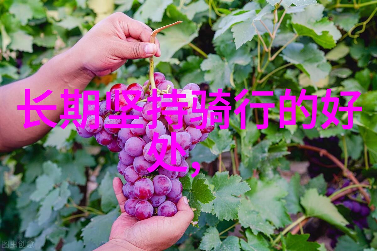 驾驶下坡路的痛苦体验