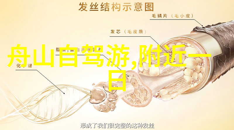 殿上欢h1v3po虚拟现实游戏中的皇家对决