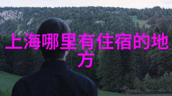 那些你看过的美食节目你觉得怎样去成都一定要吃的美食