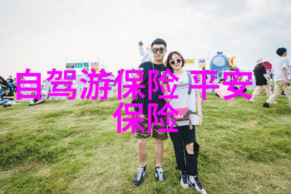 初二学生的夏日海边探险寻找梦想与记忆的600字游记