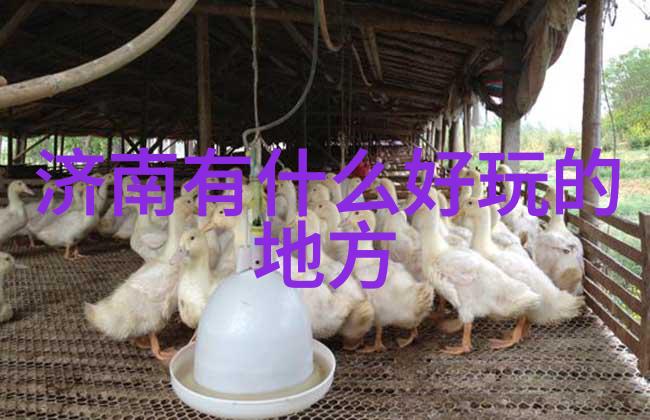 团建趣味活动我们一起搞个笑声满屋的烹饪大赛