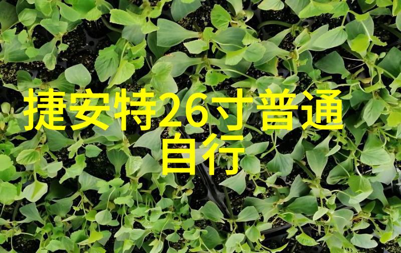 提供给不同客户群体的个性化服务是否影响了整体价格结构