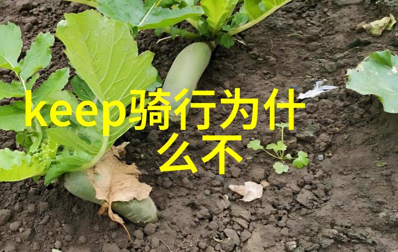 牛街小吃探秘北京十大风味之冠