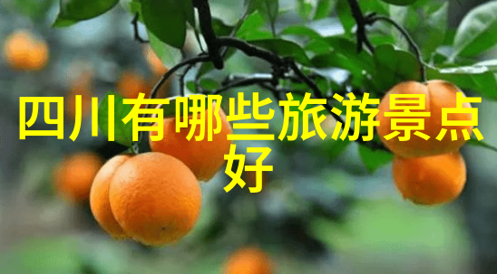 全球最佳旅游胜地揭秘探索最受欢迎的目的地与背后的故事