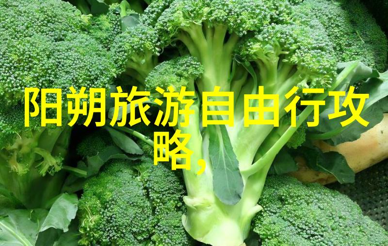 团建乐趣满分室外小游戏盛宴