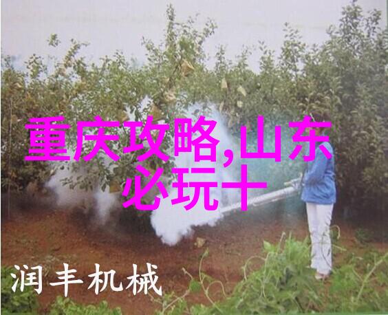 永川野生动物园探秘自然的奇迹与乐趣之旅