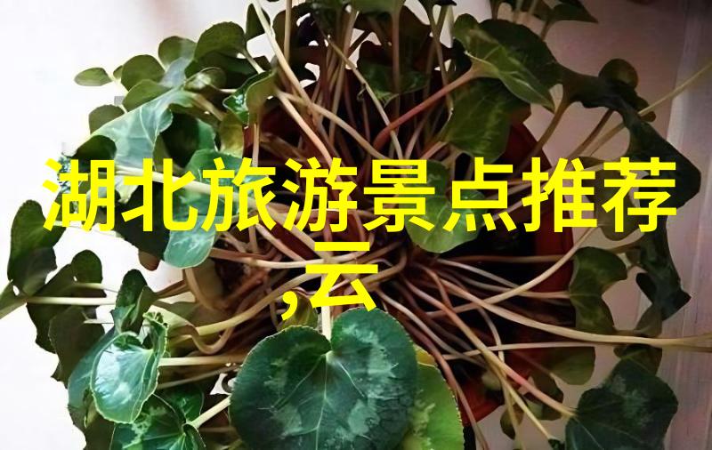 梵净山自驾游攻略我是如何在梵净山上找到了宁静的自驾旅行秘籍的