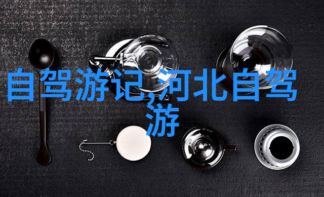 2021年出境旅行回忆探索世界的美好瞬间