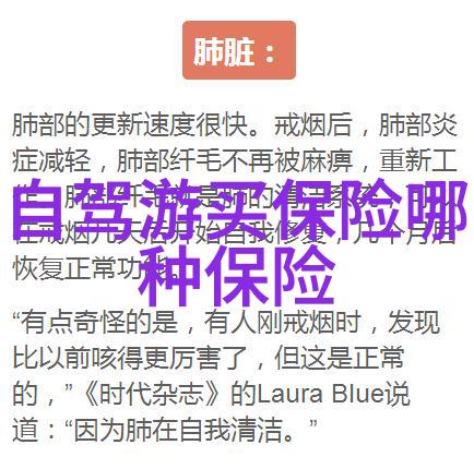 探秘世界最划算安全之选你的下一个旅行目的地