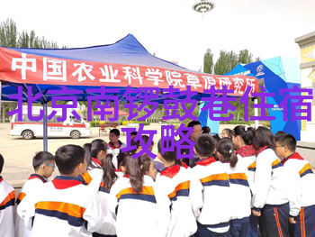 童心荡漾创意满溢的幼儿园游戏宝库