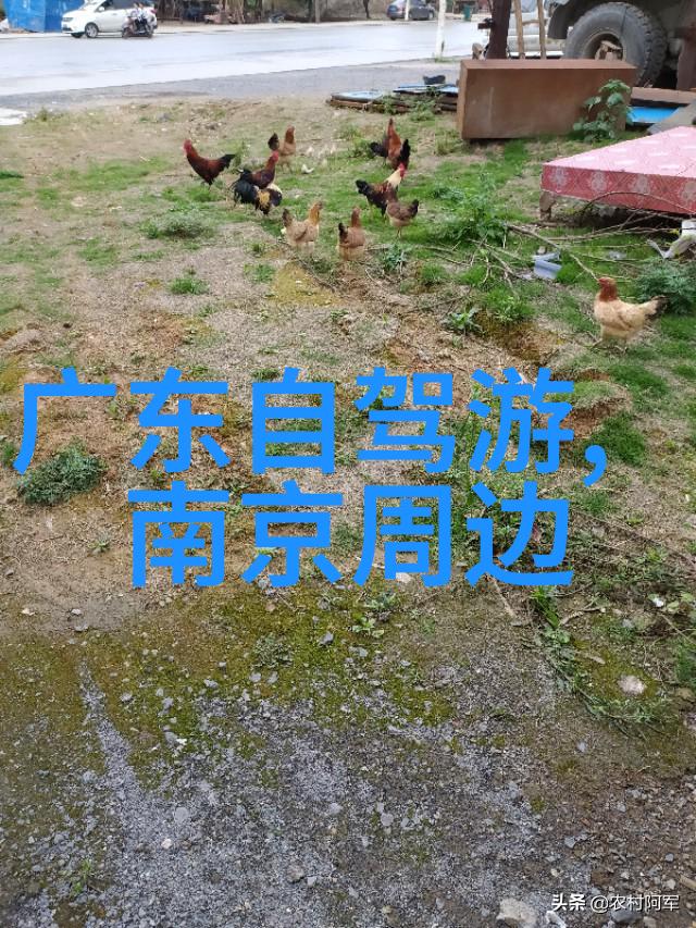 从初学者到高手公路自行车最佳坐姿指南