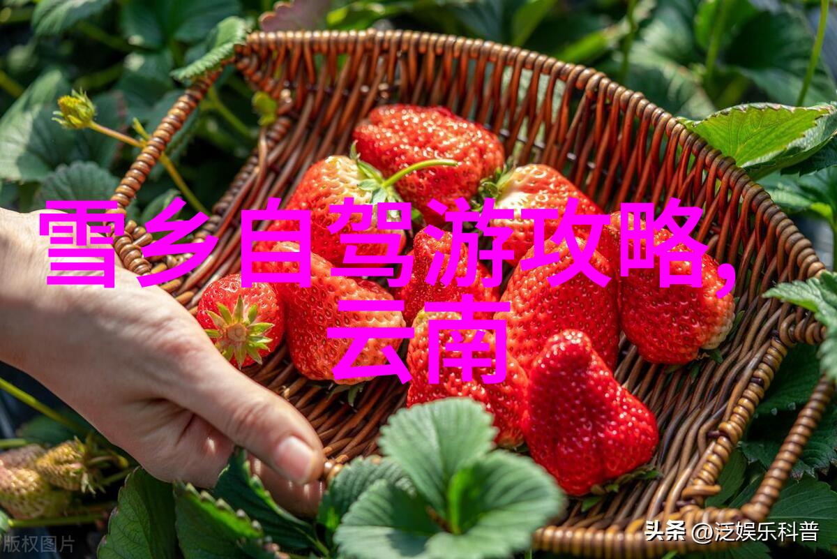 游记作文优秀范文四年级我在夏天的山村探险记