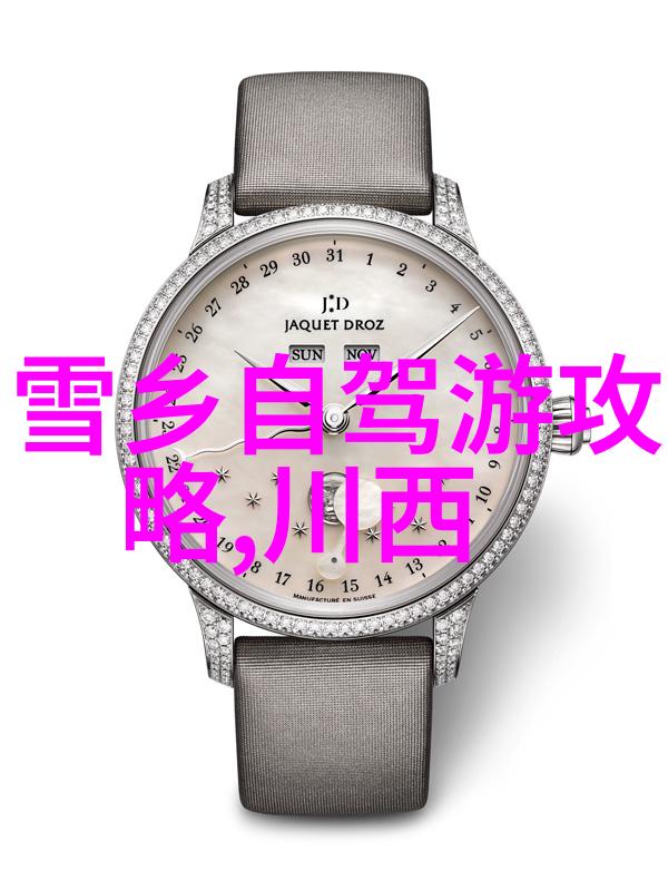 户外游戏大班的冒险日记